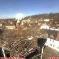 12_00-nest.jpg
