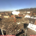 12_05-nest.jpg