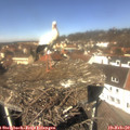 12_10-nest.jpg