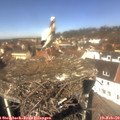 12_15-nest.jpg