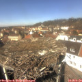 12_20-nest.jpg