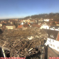12_25-nest.jpg