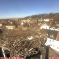 12_30-nest.jpg