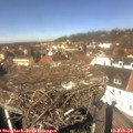 12_35-nest.jpg