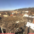 12_40-nest.jpg