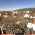 12_50-nest.jpg