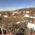 12_55-nest.jpg