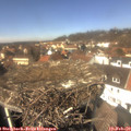 13_00-nest.jpg
