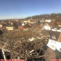 13_05-nest.jpg