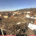 13_15-nest.jpg