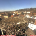 13_20-nest.jpg