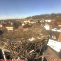 13_35-nest.jpg