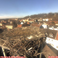 14_00-nest.jpg