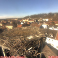 14_05-nest.jpg