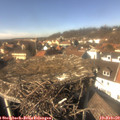 14_10-nest.jpg