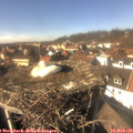 14_25-nest.jpg