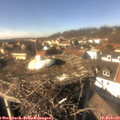 14_30-nest.jpg
