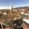 14_35-nest.jpg