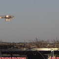 14_40-mast.jpg