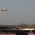 14_45-mast.jpg