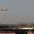 14_50-mast.jpg