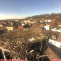 14_50-nest.jpg
