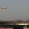 14_55-mast.jpg