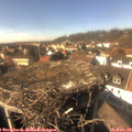 14_55-nest.jpg