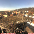 15_05-nest.jpg