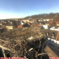15_25-nest.jpg