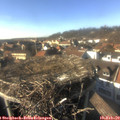 15_35-nest.jpg