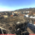 15_40-nest.jpg