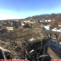 15_45-nest.jpg