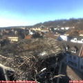 15_50-nest.jpg
