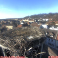 15_55-nest.jpg