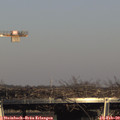 16_00-mast.jpg