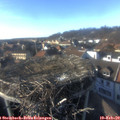 16_00-nest.jpg