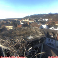16_05-nest.jpg