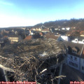 16_10-nest.jpg