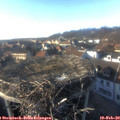 16_20-nest.jpg