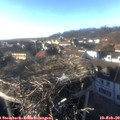 16_30-nest.jpg