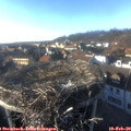 16_35-nest.jpg