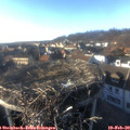 16_40-nest.jpg
