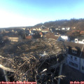 16_45-nest.jpg