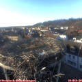 16_50-nest.jpg