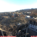 16_55-nest.jpg