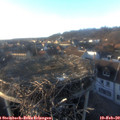 17_00-nest.jpg