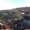 17_05-nest.jpg