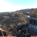 17_10-nest.jpg