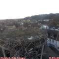 17_30-nest.jpg